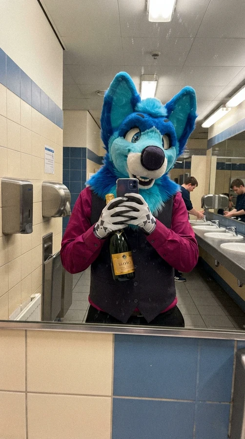 terry husky 1.0