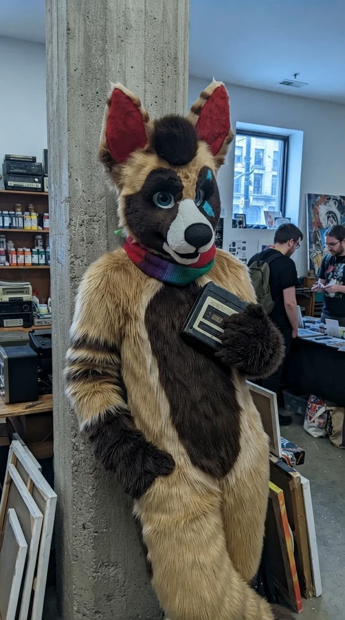 corey coyote 1.0
